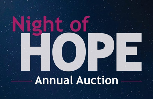 Night of Hope Auction fundraiser picture