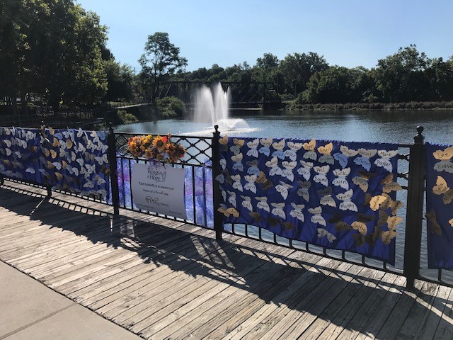 Butterflies on the riverfront