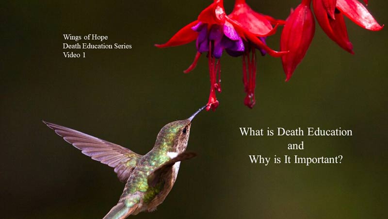 What is death education and why is it important?