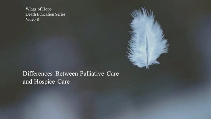 differences between palliative care and hospice care video 8